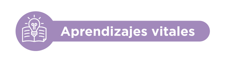 Descripción de la imagen